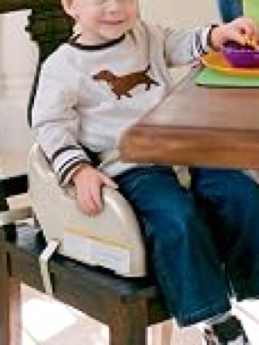 NIB Graco Blossom Toddler Booster Seat, Brown/Tan 4 in 1
